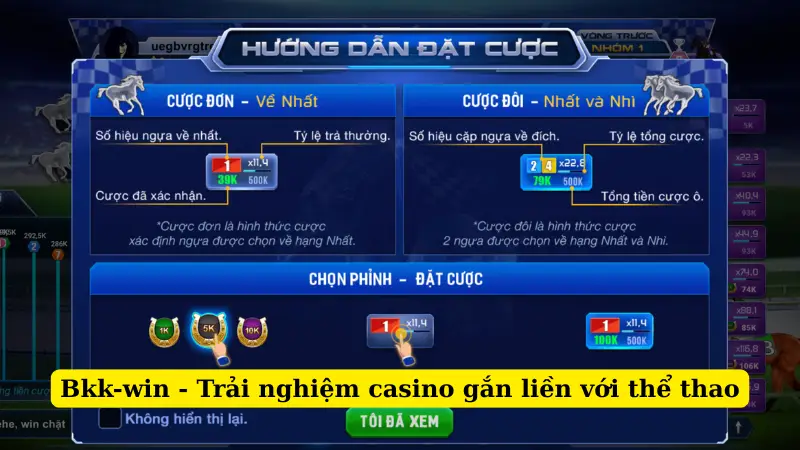 Bkk-win - Trải nghiệm casino gắn liền với thể thao