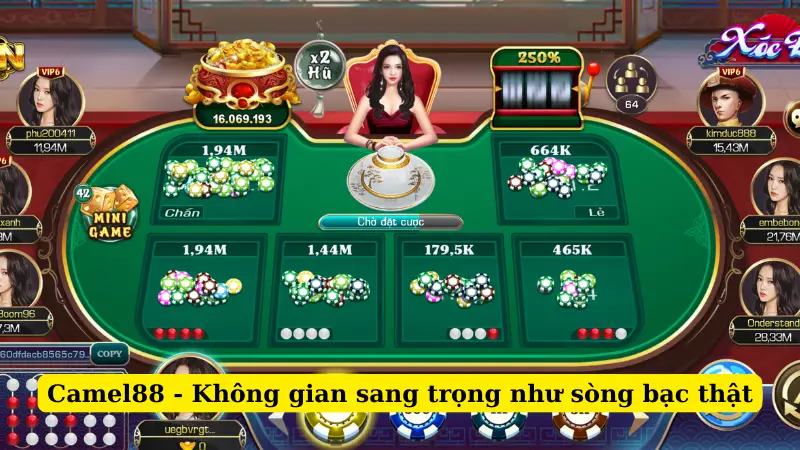 Camel88 - Không gian sang trọng như sòng bạc thật